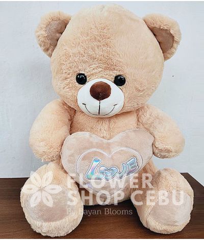 18 inches Teddy Bear (Brown)