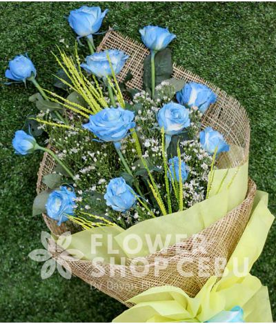 1 Dozen Blue Roses Spray (Arm Bouquet)