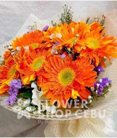 1 Dozen Orange Gerberas