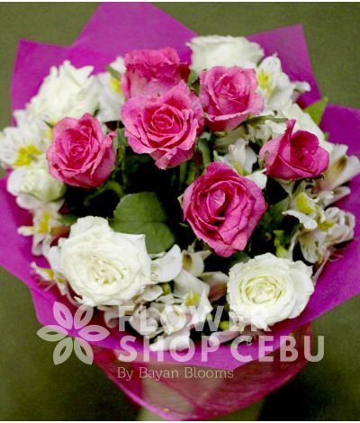 1 Dozen Pink and White Roses