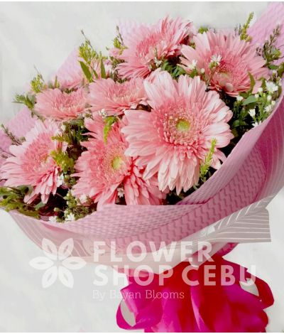 1 Dozen Pink Gerberas