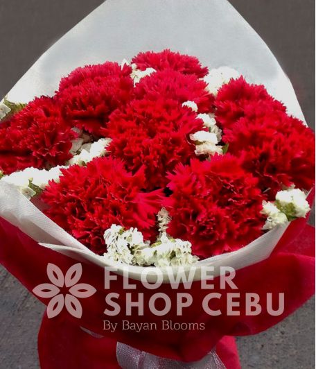 1 Dozen Red Carnations