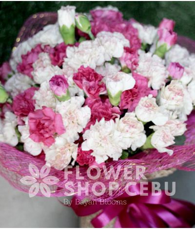 2 Dozen Pink and White Carnations