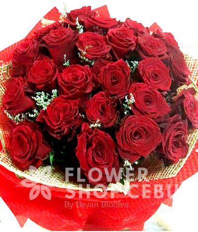 2 Dozen Red Ecuadorian Roses
