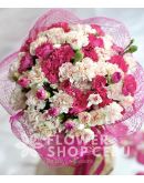 20 White and 20 Pink Carnations
