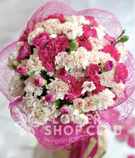 20 White and 20 Pink Carnations