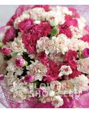 20 White and 20 Pink Carnations