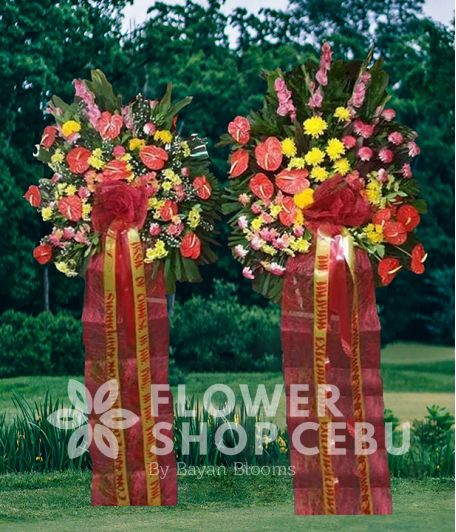 Inaugural Flower - Zevgos Inaugural Flower - Zevgos