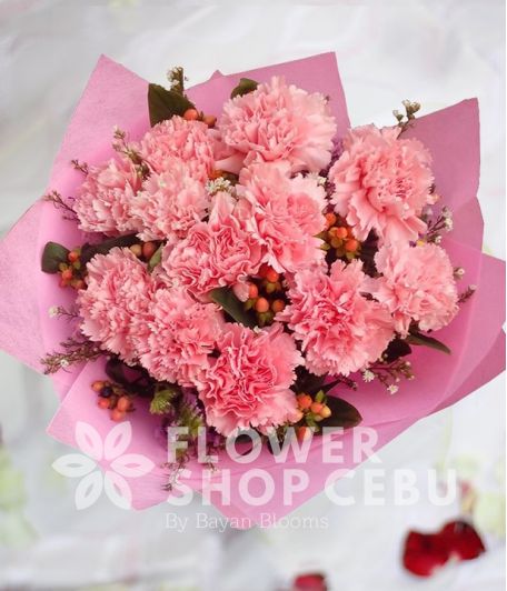 1 Dozen Pink Carnations